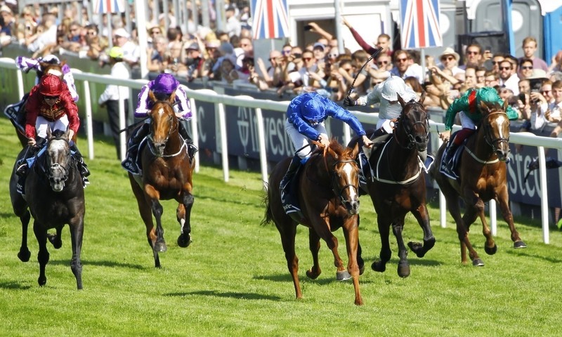 The Godolphin Story | Godolphin